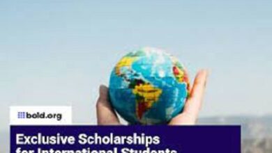 Ireland International Education Scholarships 2024 by Irish Government