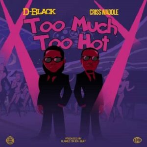 D-Black Ft Criss Waddle - Too Much Too Hot